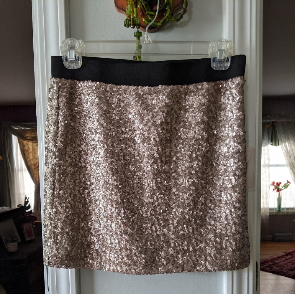 Forever21 Sequence Skirt
